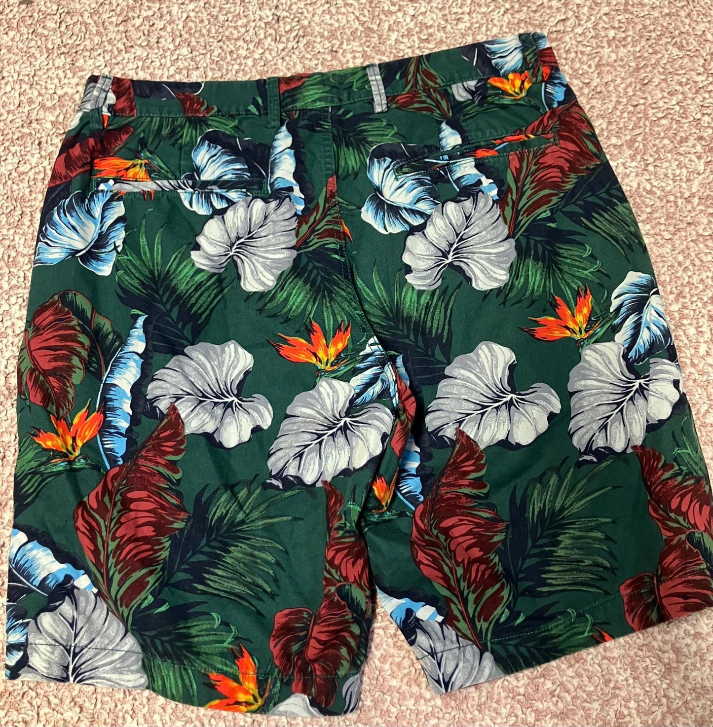 Gap Khakis Lived In Short Men's Casual Shorts - Tropical Floral Print, Size 33